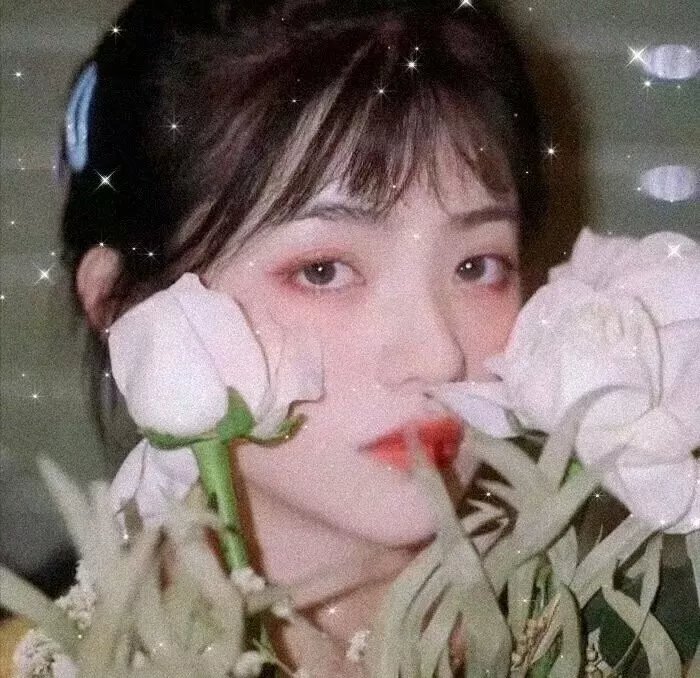 真爱试验